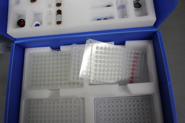 THERMO SCIENTIFIC VANQUISH SAMPLE CONTAINER KIT