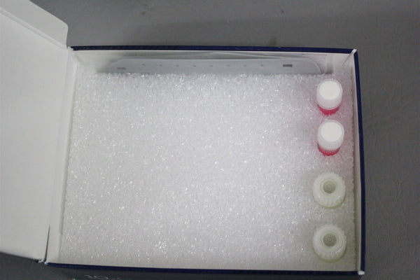 NEW 10X GENOMICS NEXT CHROMIUM GEM CHIP G SINGLE CELL KIT 1000127