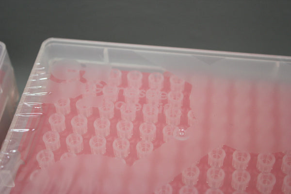 LOT 384 (4 RACKS) GENESEE SCIENTIFIC 2UL ERGO FILTERED PRE-STERILE TIPS 24-802