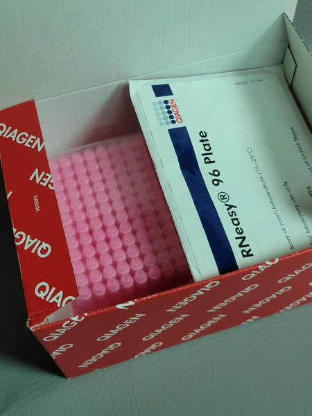 NEW BOX QIAGEN RNeasy 96 WELL PLATES 1037589 LOT 0F 4