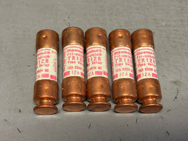 5- Ferraz Shawmut TR12R Duel Element Time Delay Fuse 12A 250V