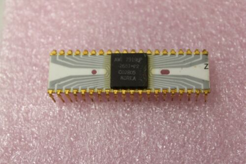 Vintage AMI Gold/Grey Trace CPU Chip Processor (D)