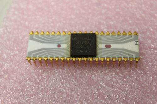 Vintage AMI Gold/Grey Trace CPU Chip Processor (I)