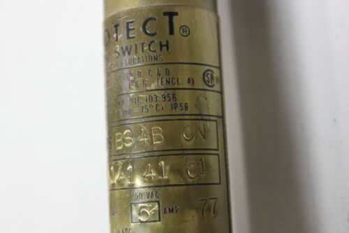 Flotec Flow Switch V6EPB BS4B CN