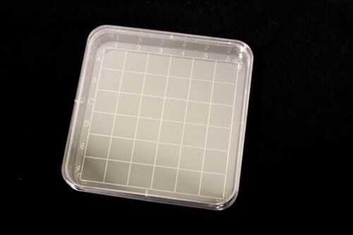 20 Fisher Scientific Square Polystyrene Petri Dish w/ Grid FB0875711A 100 mm