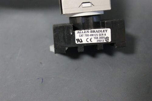 ALLEN BRADLEY 24VDC 10A RELAY AND BASE 700-HA32Z24 HN125