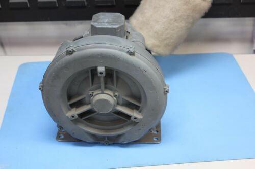 Effepizeta SCL V3 Regenerative Blower Induction Motor 0.75 HP 115V